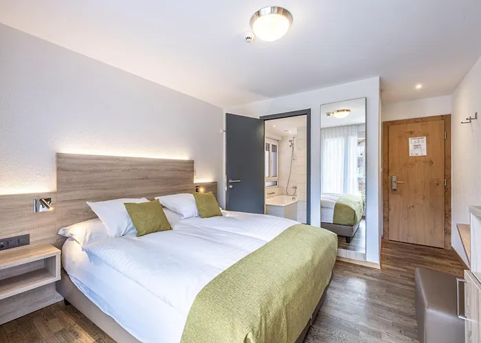 酒店 布里斯都酒店 3*